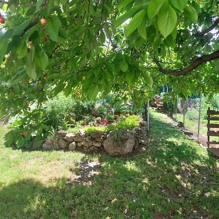 Kossuth Lajos Utca 73 Nabuka * Tihany