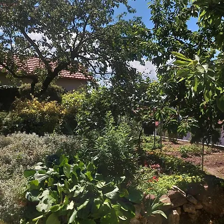 Апартаменты Kossuth Lajos Utca 73 Nabuka Тихань