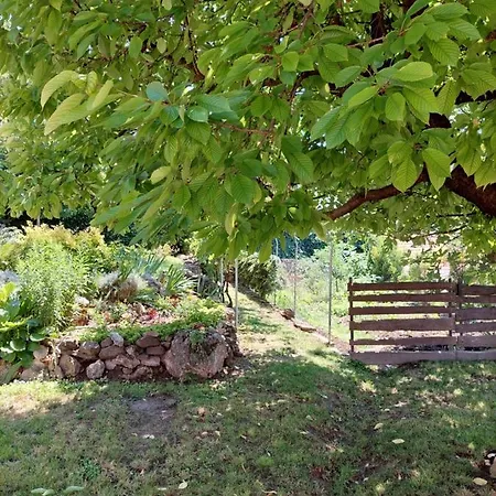 Kossuth Lajos Utca 73 Nabuka *