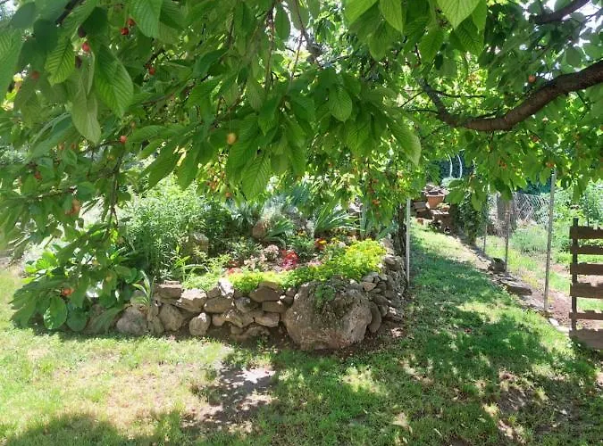 Kossuth Lajos Utca 73 Nabuka * Tihany