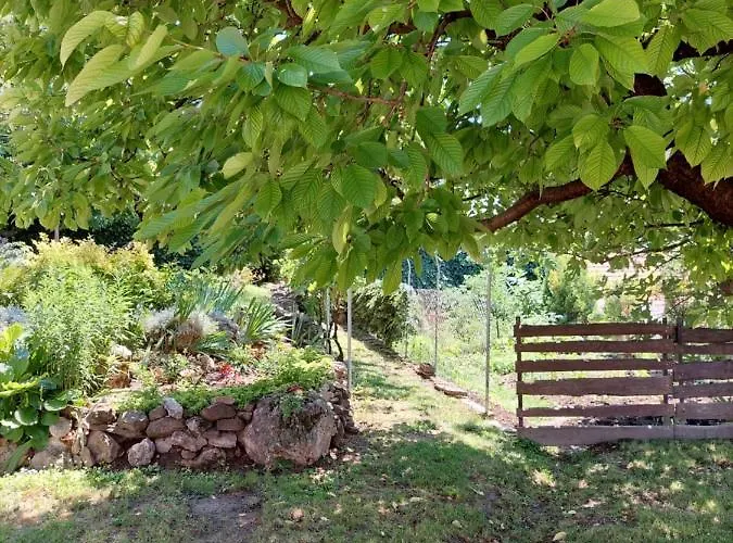 Kossuth Lajos Utca 73 Nabuka *